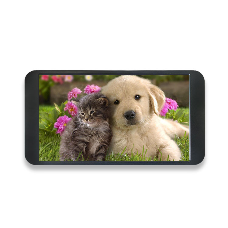 7 Inch 1080P Monitor 1920*1080 - Gaming Console Monitor 评论和价格